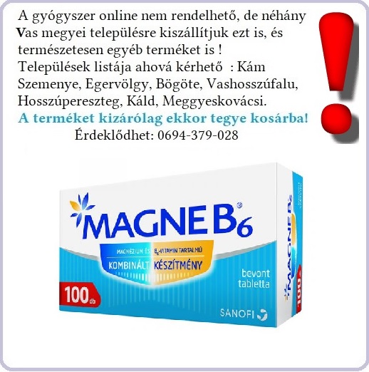 Magne B6