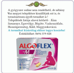 Algoflex M tabletta 6x+6x