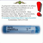 Apis mellificata C9 4g