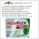 Algoflex 400mg tabletta 20x *