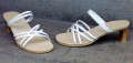 baktocipo 00586