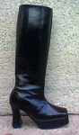 baktocipo