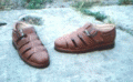 baktocipo