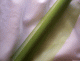 dekoraciosanyag 04738