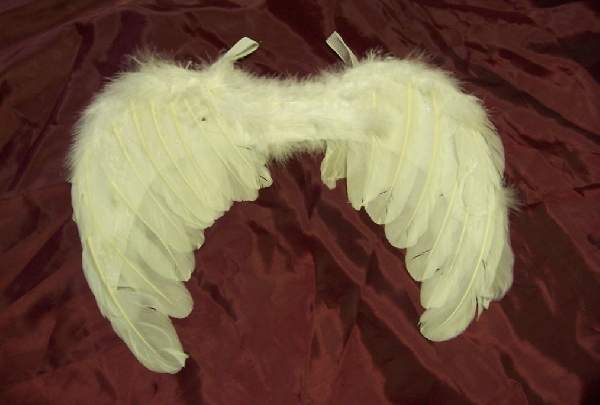 angyalsz�rny 50*40 cm (A)