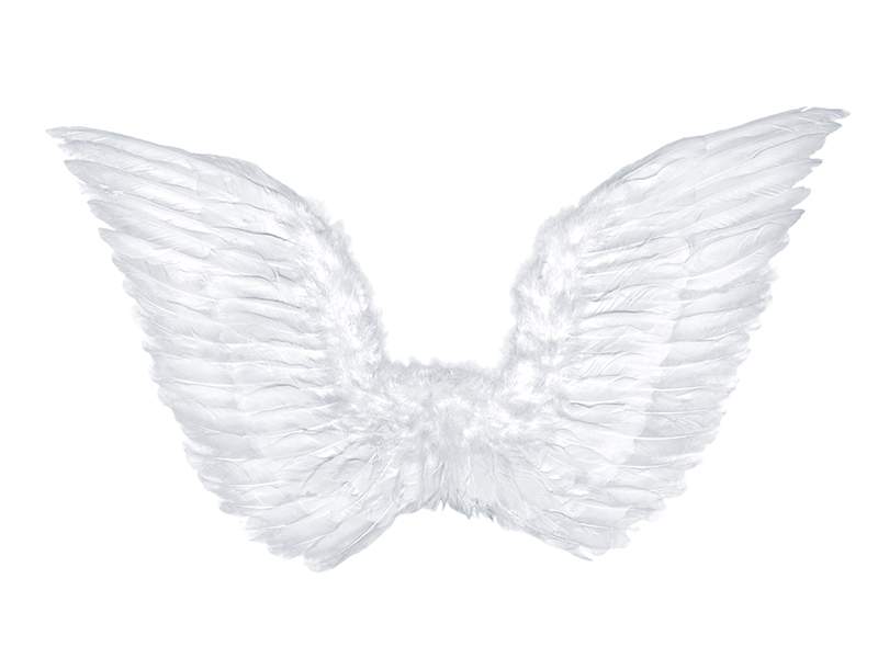 angyalsz�rny 70*50 cm