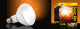 ExoTerra Solar Glo