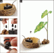 ExoTerra® Dripper Plant