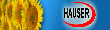 auser web�ruh�z