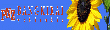 bangkirai webáruház