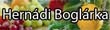bogi web�ruh�z