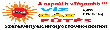 hoadokft webáruház