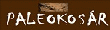paleokosar webáruház