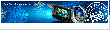 security web�ruh�z