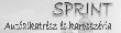 sprintauto webáruház