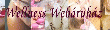 wellnesswebaruhaz webáruház