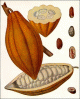 Kaka� vaj