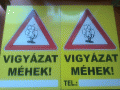 meheszbolt