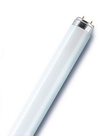 Sylvania Aqua-Classic akvárium fénycső T8 F18W 5000K 26x590mm G13