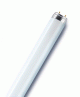 H�roms�vos f�nycs�vek T5, T8