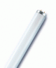 UV F�nycs�vek T12