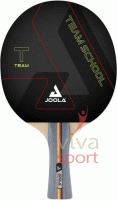 vivasport