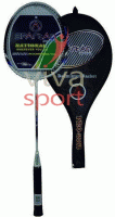 vivasport