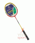 vivasport
