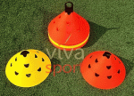 vivasport