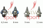 vivasport