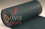 vivasport