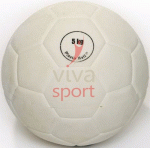 vivasport