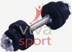 vivasport