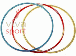 vivasport