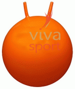 vivasport