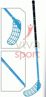 vivasport