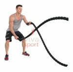 vivasport