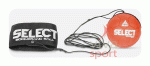 vivasport
