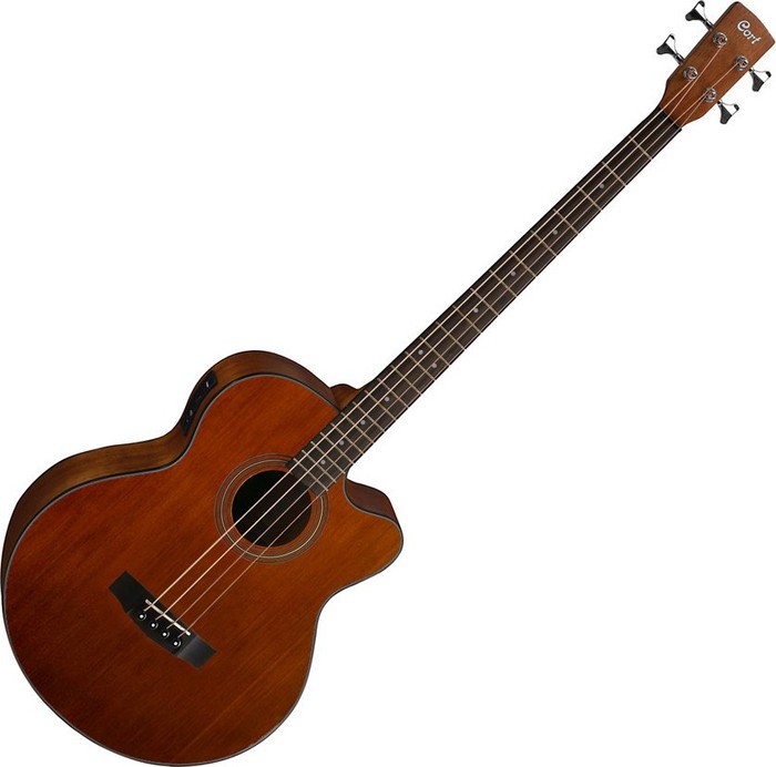 Akusztikus basszusgitárok