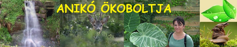 anikookoboltja webáruház, webshop